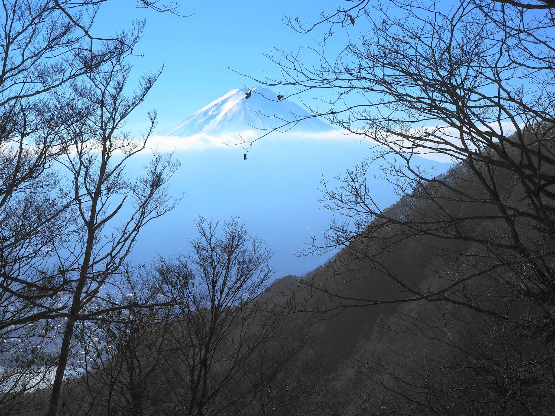 黒岳☆富士山周回トレイル縦走　中級者向け　