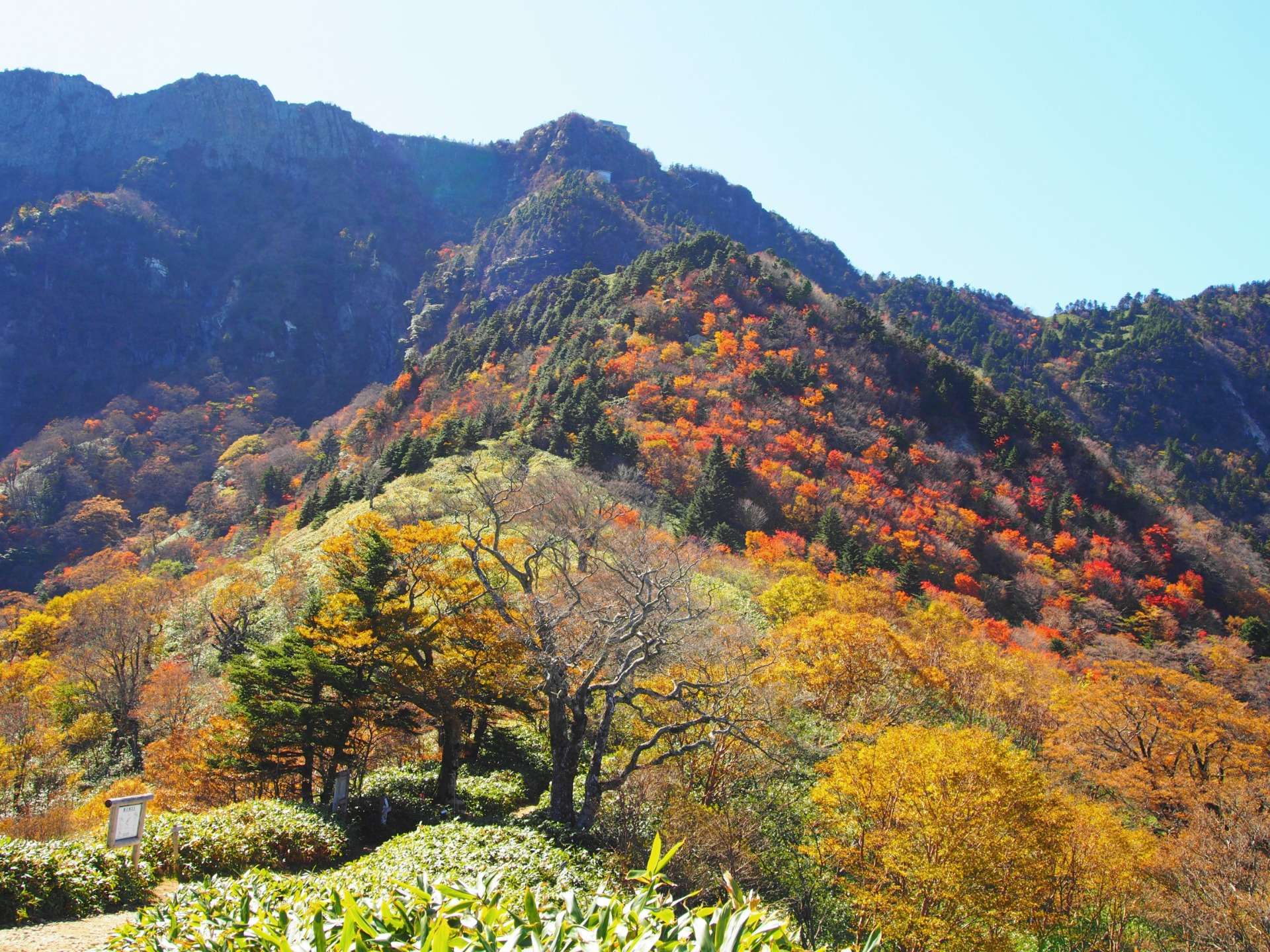 紅葉の石鎚山　中上級者向け