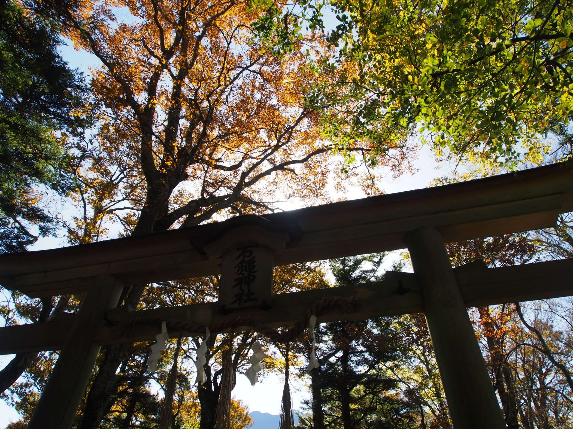 紅葉の石鎚山　中上級者向け