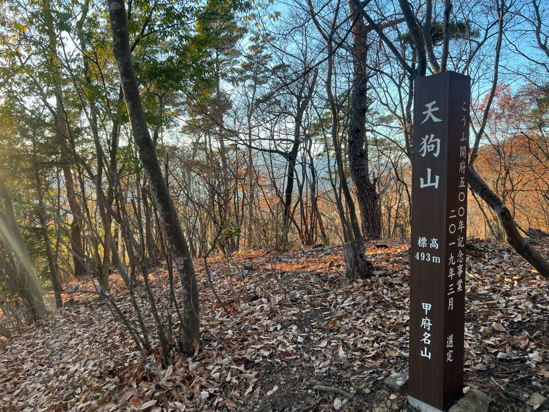 甲府名山☆八王子山縦走　日帰り　初中級者向け