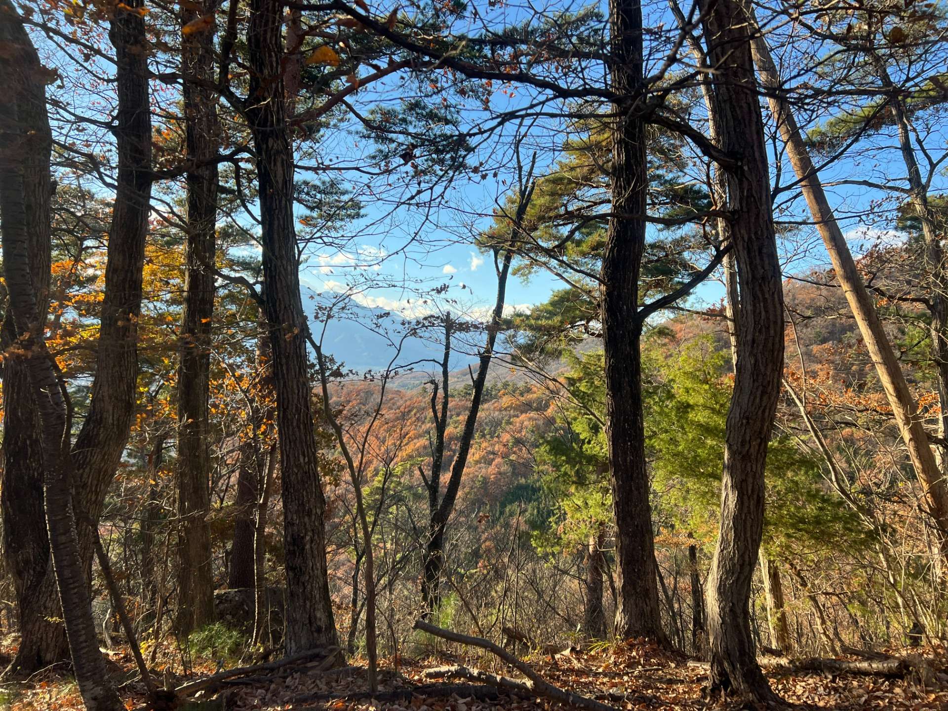 甲府名山☆八王子山縦走　日帰り　初中級者向け