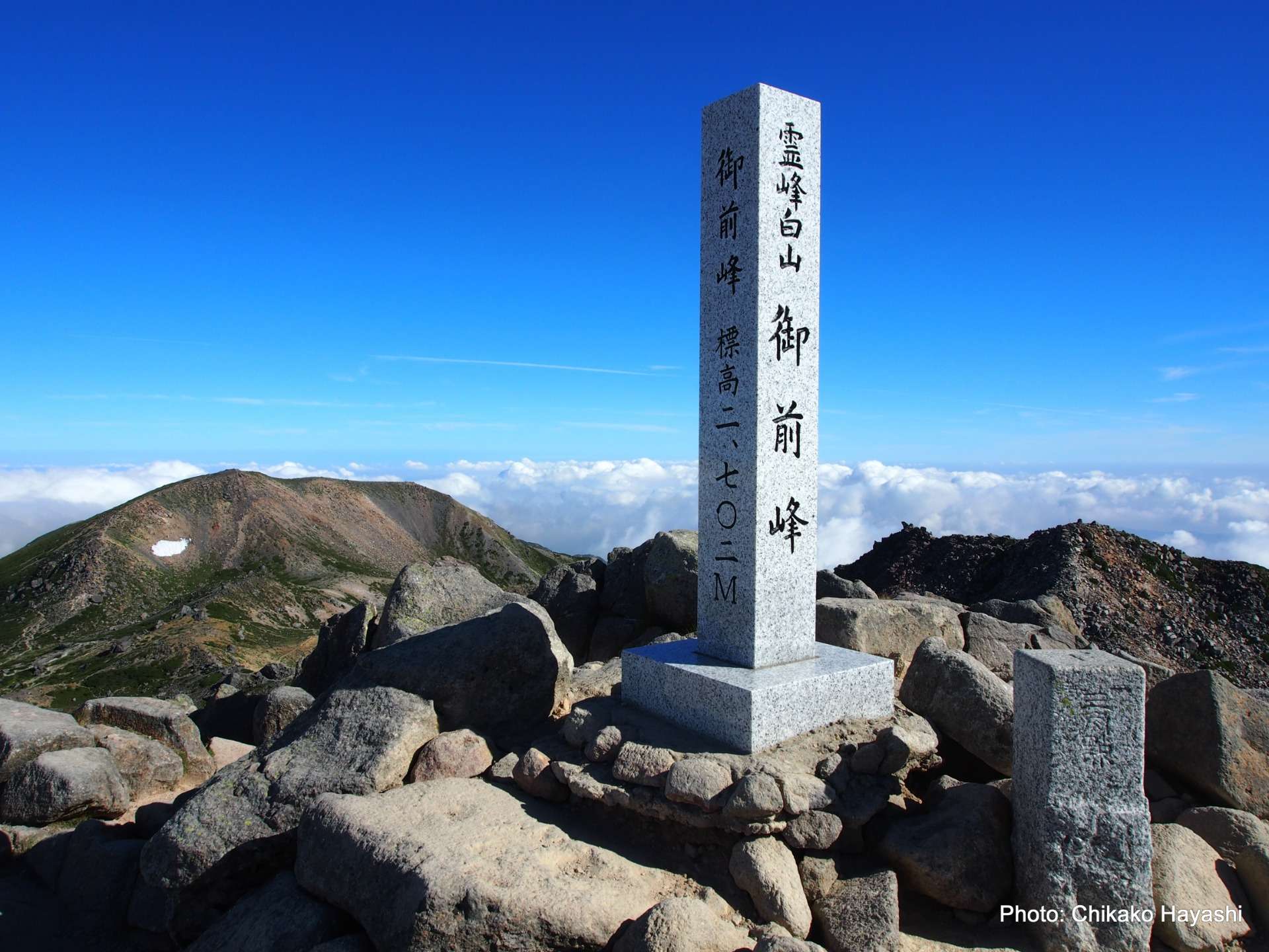 白山☆花の百名山